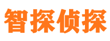 荥阳外遇出轨调查取证